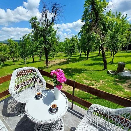 Vikendica Gaj Villa Gornji Milanovac Exteriör bild