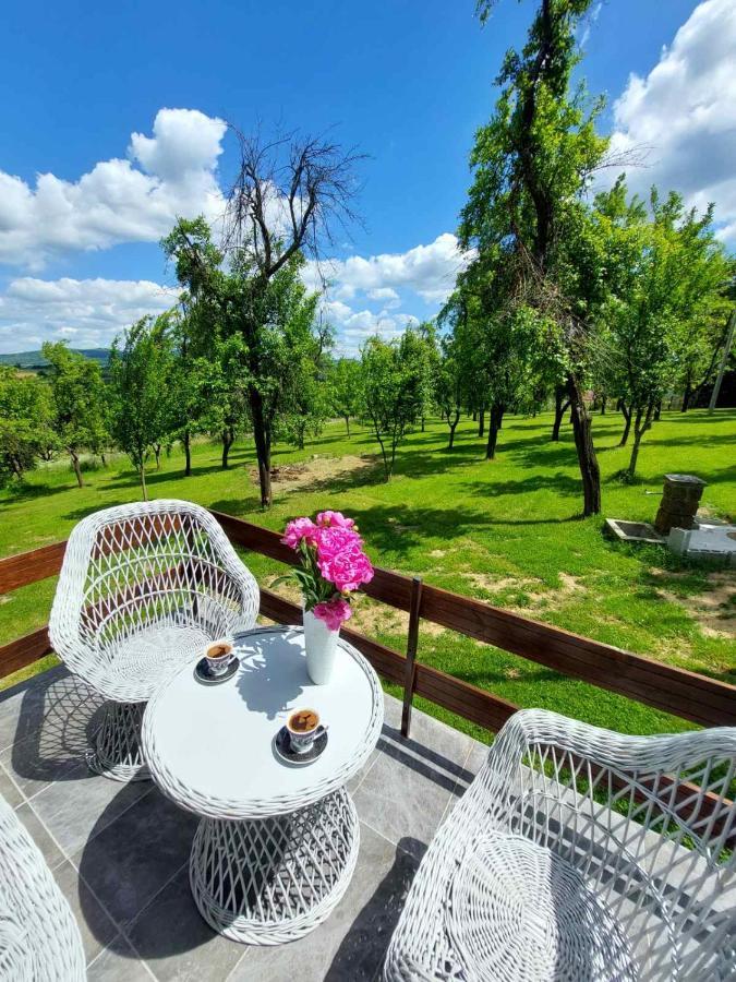 Vikendica Gaj Villa Gornji Milanovac Exteriör bild