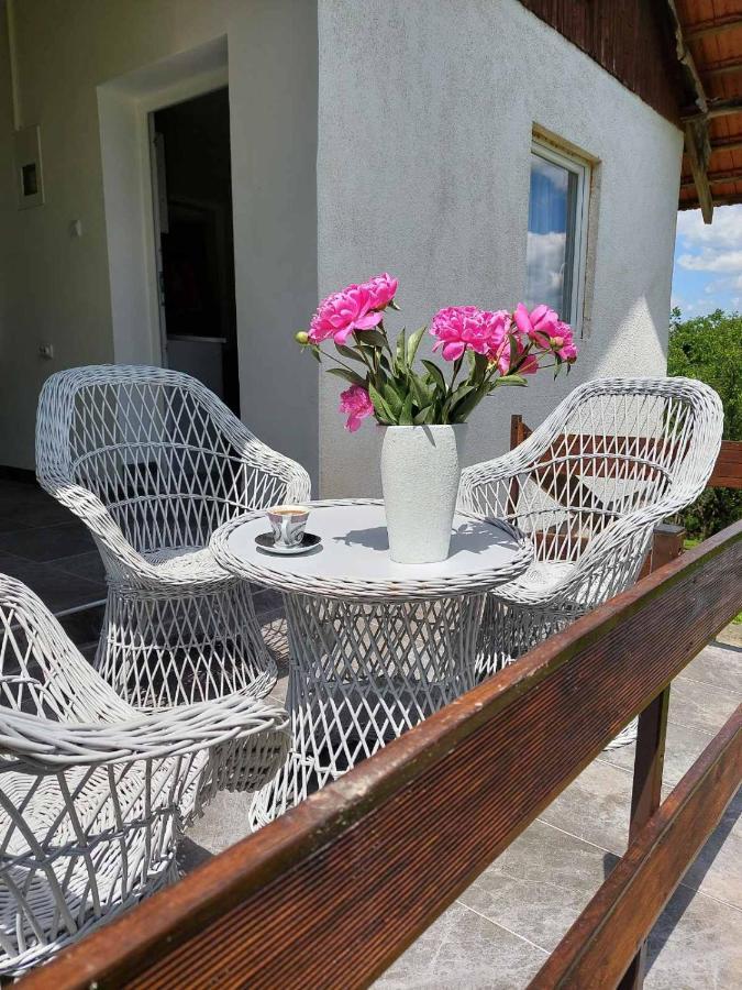 Vikendica Gaj Villa Gornji Milanovac Exteriör bild
